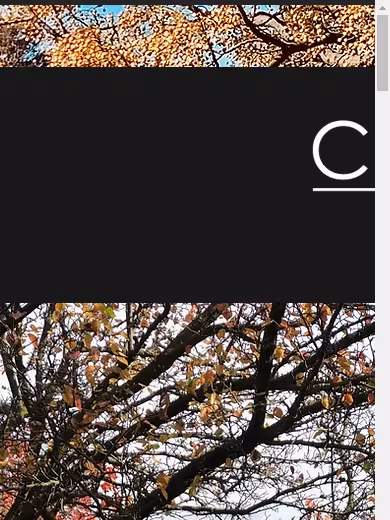 D.B.J. Hoare Celestial Funerals website